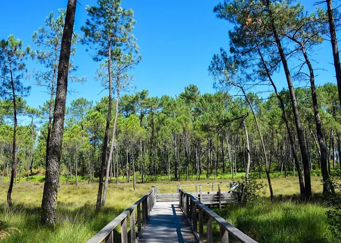 Chez Michel 2 Casa vacanze